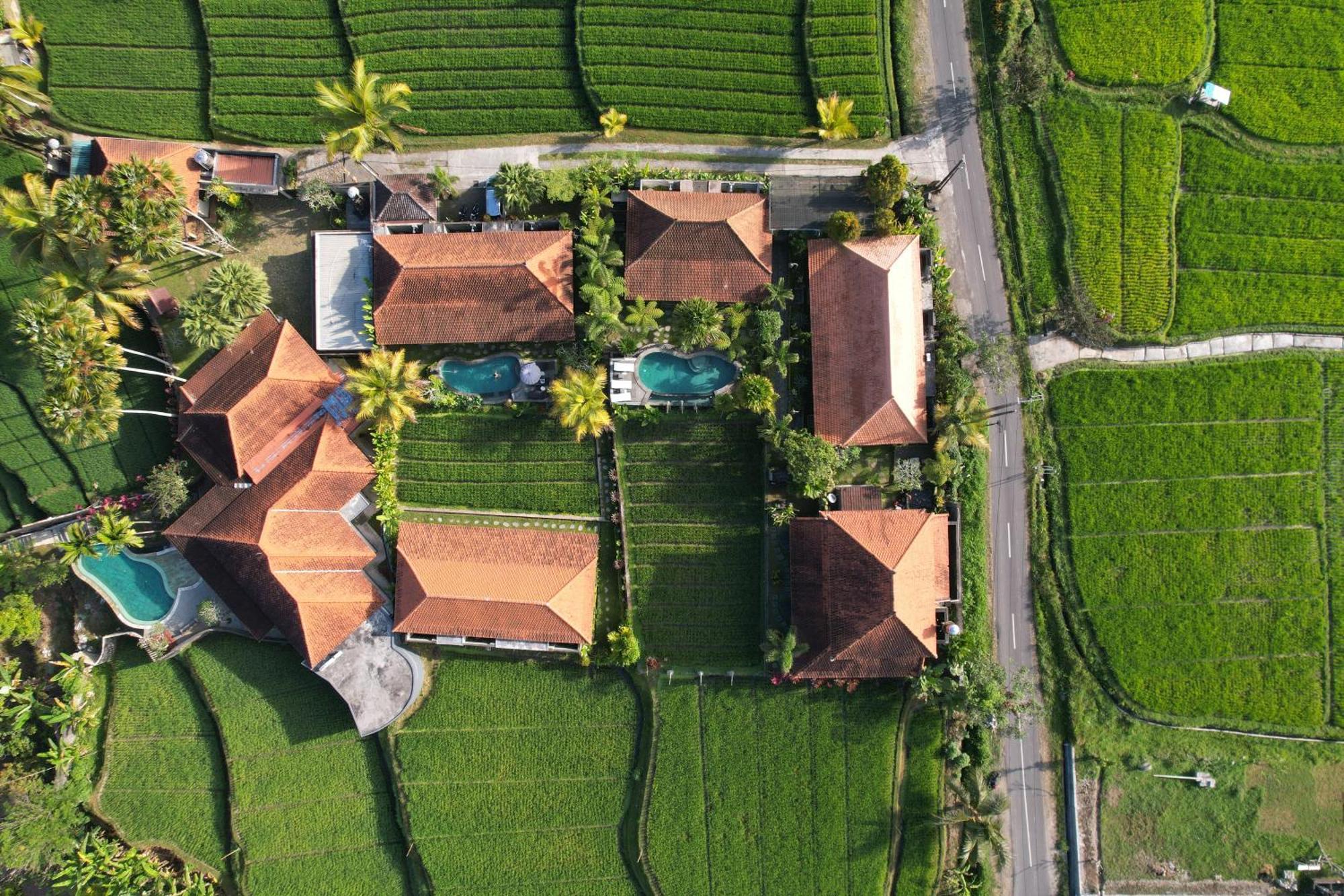 Umakelod Sebatu Villas Ubud Eksteriør bilde